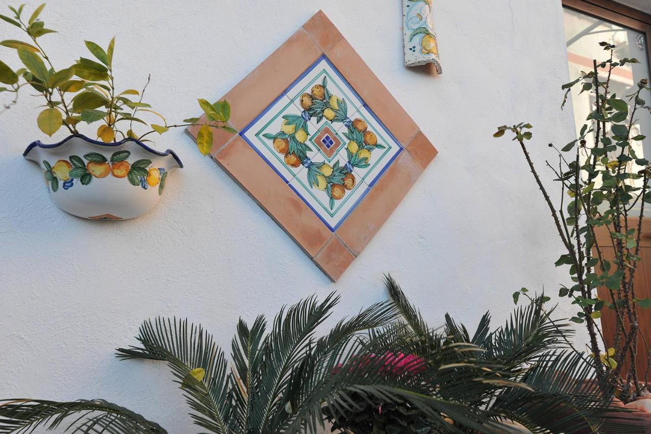 B&B Le Cycas Кастелламмаре-ди-Стабия Экстерьер фото